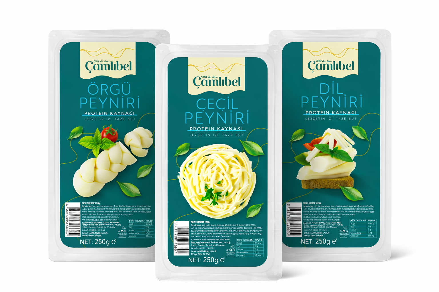 Kaşar Peyniri Grubu